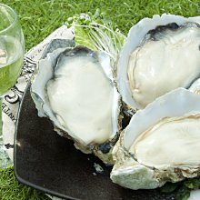 【悠遊網內湖店】假日與春節寒暑假不加價! +250元水陸一日遊! 台中麗寶樂園馬拉灣(水上)全日門票特惠價只要 950元 歷史價格詳細信息