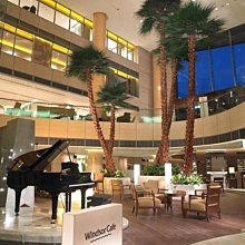 中裕戶外攀巖旋轉萬向輪 登山吊威亞8字連接環空中瑜伽萬向環 歷史價格詳細信息