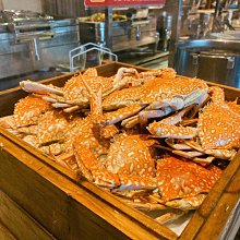 (台中六股加工廠)23x25棉布袋 白色棉布購物提袋 環保袋胚布袋、帆布袋、空白袋、植物染色、蝶古巴特 歷史價格詳細信息