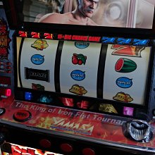 珍藏民族樂器 老桐木大琵琶一把 【鳳凰】純手工制作 歷史價格詳細信息