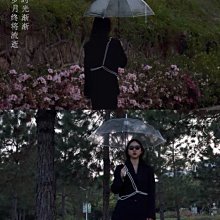 現貨 珍珠腰鏈彈力新款女百搭洋裝鬆緊彈力腰帶時尚韓版配飾潮流顯瘦-簡約 歷史價格詳細信息