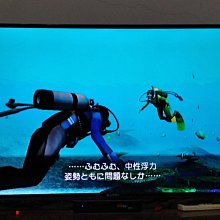 日本原廠 Wii 傳統手把 歷史價格詳細信息