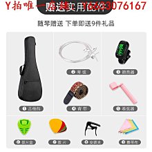吉他艾薇兒初學者雙搖電吉他男女生通用搖滾套裝專業級入門電子吉他樂器 歷史價格詳細信息