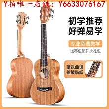 23寸入門兒童尤克里里大學生旅行網紅多巴胺男女生初學烏克麗麗 歷史價格詳細信息