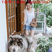 吉他尤克里里女生款初學者入門級單板兒童小吉他高顏值23寸烏克麗麗樂器 歷史價格詳細信息