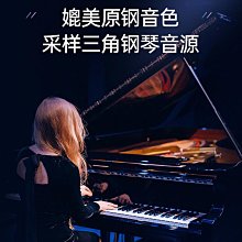 電子琴成人兒童幼師專用初學電鋼琴入門61鍵多功能專業教學琴成年-泡芙吃奶油 歷史價格詳細信息