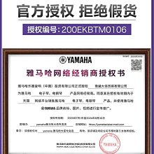 專業電鋼琴耳機6.5MM頭戴式通用電子琴電吹管 歷史價格詳細信息