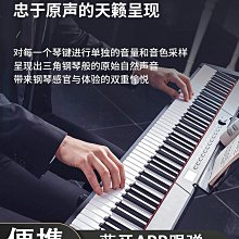 電子琴初學者成年兒童幼師專用61鍵多功能家用便攜式專業鋼琴88鍵-泡芙吃奶油 歷史價格詳細信息