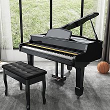 三角牌家用電電子鍋官品2-3人煮粥煲湯2l~5l老式小型迷你電子鍋 歷史價格詳細信息