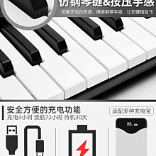 電子琴12V雅馬哈KB290電子琴280鋼琴291戶室外專用電池瓶 歷史價格詳細信息