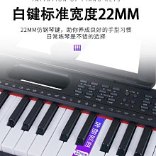 手提式電子琴初學者成年人兒童入門61鍵幼師專用女孩家用便攜鋼琴-泡芙吃奶油 歷史價格詳細信息