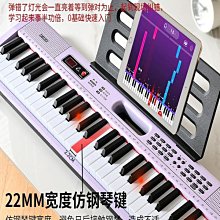 手提式電子琴初學者成年人兒童入門61鍵幼師專用女孩家用便攜鋼琴-泡芙吃奶油 歷史價格詳細信息