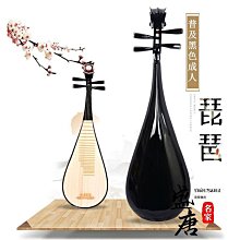 琵琶樂器初學者入門兒童成人小琵琶琴紅木花梨木專業教學自學琵笆 歷史價格詳細信息