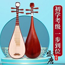 琵琶樂器初學者入門兒童成人小琵琶琴紅木花梨木專業教學自學琵笆 歷史價格詳細信息