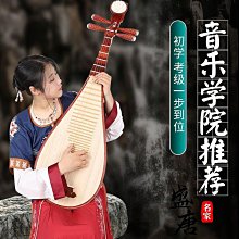 琵琶樂器初學者入門兒童成人小琵琶琴紅木花梨木專業教學自學琵笆 歷史價格詳細信息