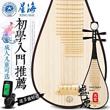 免運~北京星海揚琴樂器402揚琴楊琴洋琴演奏級紅木浮雕龍揚琴8623F-A-盛唐名家 歷史價格詳細信息