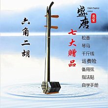 免運~弦尊琵琶 紅酸枝老料琵琶樂器燙蠟拋光琵琶專業演奏考級琵琶-盛唐名家 歷史價格詳細信息