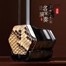 高檔二胡黑檀二胡烏木專業演奏舞臺入門高級正宗正品二胡兒童二胡 歷史價格詳細信息