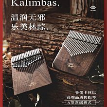 拇指琴34音拇指琴手指琴女生21音卡林巴琴17復古簡單易學樂器便攜式 免運 歷史價格詳細信息
