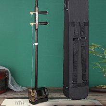 專業二胡拾音器一拖二專用音響小話筒2.4G樂器無線麥克風鵝頸收音 ZB1202 QP1130 歷史價格詳細信息