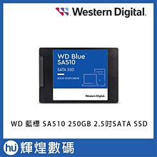 WD BLUE 藍標 SA510 500GB 2.5吋SATA SSD 歷史價格詳細信息