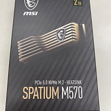 固態硬碟全新SK Hynix(256GB M.2 2230 NVME PCIe)256G SSD BC511 BC711 歷史價格詳細信息