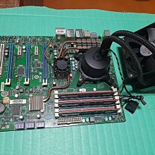 G5711【西洋現貨】Petites In Public 4 歷史價格詳細信息