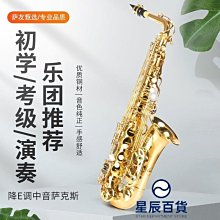 下殺 專業演奏中音薩克斯875降E調薩風管樂器初學者全新演奏薩克斯風 歷史價格詳細信息