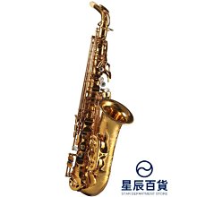 下殺 專業演奏中音薩克斯875降E調薩風管樂器初學者全新演奏薩克斯風 歷史價格詳細信息
