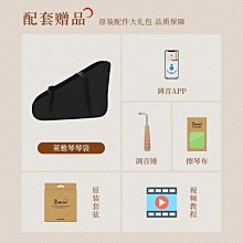 下殺 免運 精品 正品 促銷小豎琴便攜式型初學者考級專業里拉琴19弦沃兒童琴樂器 歷史價格詳細信息