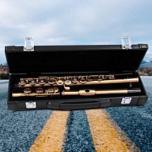 16孔長笛包挎包帆布長笛輕體包彎頭長笛盒可放雙笛頭長笛盒單肩背 歷史價格詳細信息