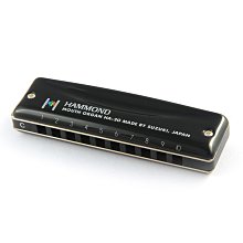 口琴 日本SUZUKI铃木布鲁斯10孔口琴十孔蓝调男女初学成人学生演奏乐器~清倉 歷史價格詳細信息