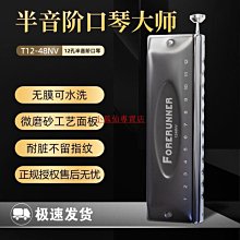 東方鼎先行者12孔半音階無膜片不黏膜口琴新手初學學生入門練習款 歷史價格詳細信息