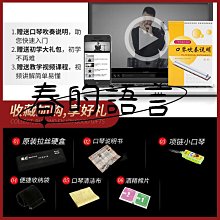 口琴上海國光口琴24孔專業演奏級高級旗艦復音C調成人初學者可刻字 歷史價格詳細信息
