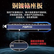 FEIFAN飛繁半音階口琴專業演奏12孔C調U48學生成人初學者專用入門 歷史價格詳細信息