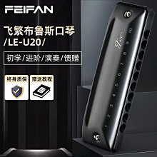 FEIFAN飛繁半音階口琴專業演奏12孔C調U48學生成人初學者專用入門 歷史價格詳細信息