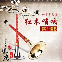 初學者嗩吶全d調成人嗩吶碗口老式專業演奏紅木烏木黑檀木樂器 歷史價格詳細信息