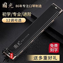 口琴上海國光口琴24孔專業演奏級高級旗艦復音C調成人初學者可刻字 歷史價格詳細信息