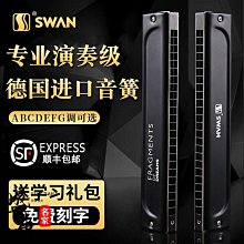 德國進口音簧天鵝專業演奏級28孔口琴重音高級成人24復音初學入門 歷史價格詳細信息