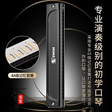 德國進口音簧28孔復音口琴高級成人專業演奏級ABEFG調初學入門 歷史價格詳細信息