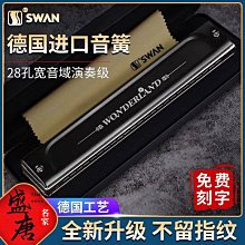 德國進口音簧28孔復音口琴高級成人專業演奏級ABEFG調初學入門 歷史價格詳細信息