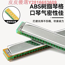 口琴天鵝追夢人口琴24孔復音C調初學者兒童小學生入門專用風男士正品 歷史價格詳細信息