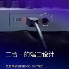 音樂鍵盤便攜式彩虹電子鋼琴鍵盤可拼接折疊手卷簡易宿舍練習練琴自學神器 歷史價格詳細信息