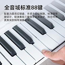 電子琴88鍵盤初學者成年人家用兒童幼師專業考級重錘便攜式電鋼琴-泡芙吃奶油 歷史價格詳細信息