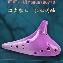 陶笛12孔初學者成人C調十二中音AC兒童小學生入門樹脂專業6壎樂器 歷史價格詳細信息