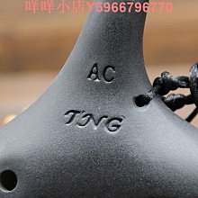 TNG陶笛12孔中音AC調塑膠陶笛防耐摔十二孔SC教學送全套免費刻字 歷史價格詳細信息