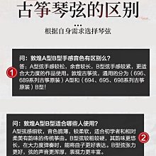 古琴 正品敦煌古箏琴694LC-C祥云初學者整挖入門標準全套專業演奏考級~【爆款】夏至未至Q1208 歷史價格詳細信息