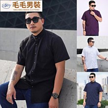 大尺碼襯 短袖  色襯  西裝襯  短袖襯  寬鬆oversize 襯  大尺碼男裝 男商務休閒多色百搭短袖襯 大號男 歷史價格詳細信息