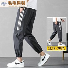 褲子男夏季薄款寬松冰絲休閑褲加肥加大碼胖運動速干束腳長褲 歷史價格詳細信息