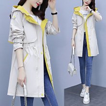 【廠家現貨直發】大碼職業裝大學生胖mm面試正裝西服工作服200斤西裝外套女套裝秋 歷史價格詳細信息